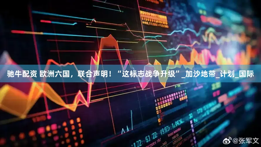 驰牛配资 欧洲六国，联合声明！“这标志战争升级”_加沙地带_计划_国际