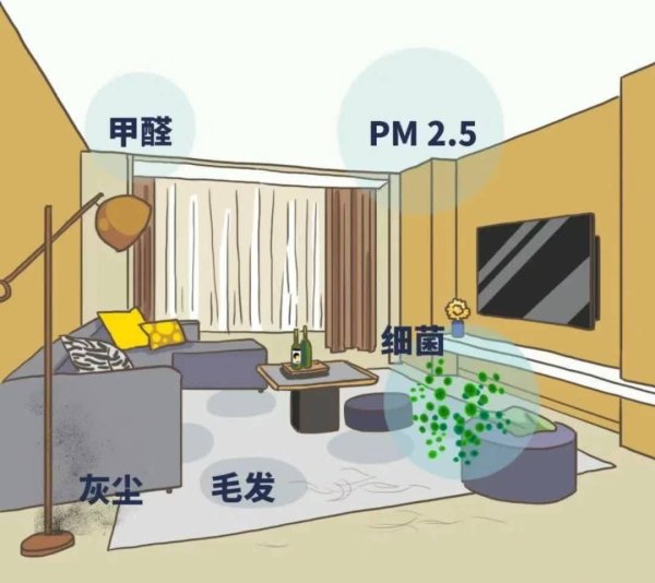 策略资本 装修后除甲醛，真正超有效的3个方法，绝对颠覆你以往的认知