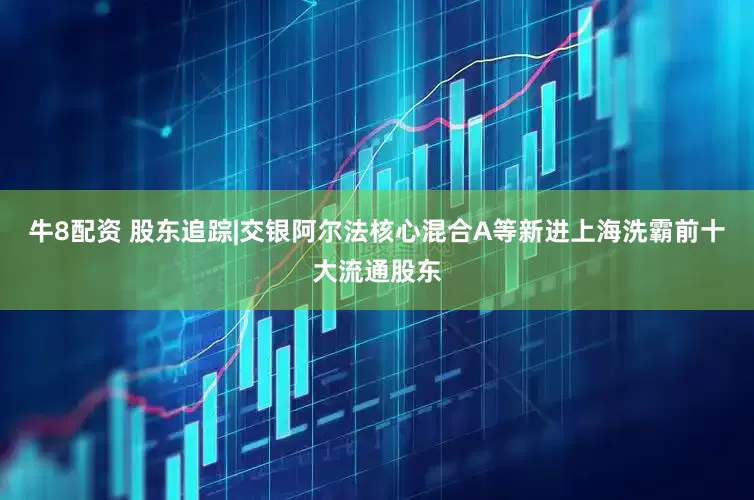 牛8配资 股东追踪|交银阿尔法核心混合A等新进上海洗霸前十大流通股东