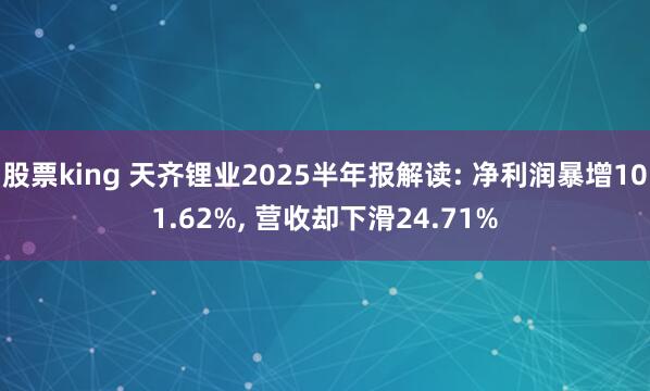 股票king 天齐锂业2025半年报解读: 净利润暴增101.62%, 营收却下滑24.71%