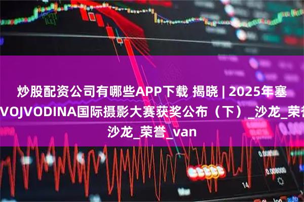炒股配资公司有哪些APP下载 揭晓 | 2025年塞尔维亚VOJVODINA国际摄影大赛获奖公布（下）_沙龙_荣誉_van