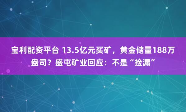 宝利配资平台 13.5亿元买矿，黄金储量188万盎司？盛屯矿业回应：不是“捡漏”