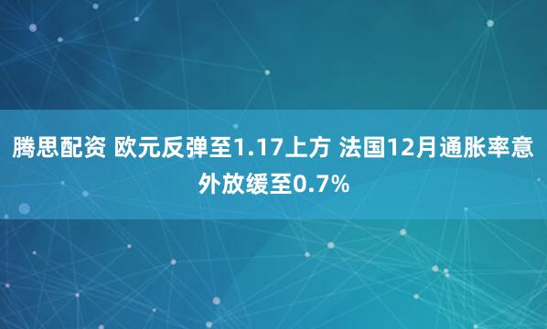 腾思配资 欧元反弹至1.17上方 法国12月通胀率意外放缓至0.7%