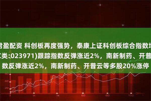 君盈配资 科创板再度强势，泰康上证科创板综合指数增强(A类:023970;C类:023971)跟踪指数反弹涨近2%，南新制药、开普云等多股20%涨停