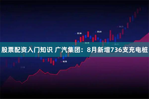 股票配资入门知识 广汽集团：8月新增736支充电桩